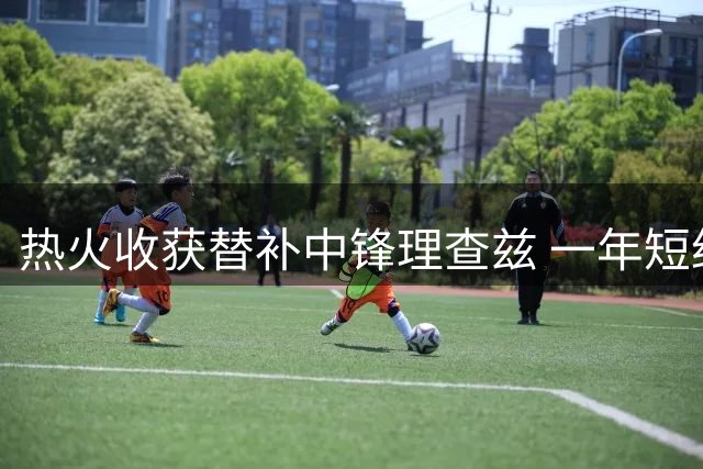 热火收获替补中锋理查兹 一年短约补强内线